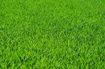 Build an Edge with Greengrass